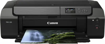 Принтер струйный Canon Pixma PRO-200 EUM/EMB (4280C009) A3+ WiFi USB RJ-45 черный/серый
