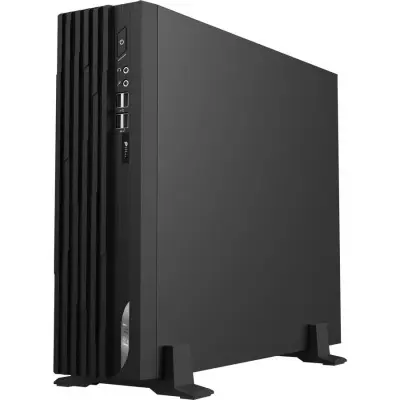 MSI Pro DP130 11-062XRU [9S6-B0A511-479] Black {i3 10105/ 8Gb/250Gb SSD/noOS}