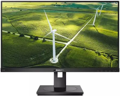 LCD PHILIPS 23.8" 242B1G черный {IPS 1920x1080 16:9 DVI HDMI M/M HAS Pivot 250cd 178гр/178гр  D-Sub DisplayPort FHD USB}