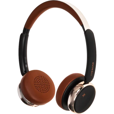 Беспроводные наушники/ FIIO SNOWSKY Anytime (F4439E) Чёрный