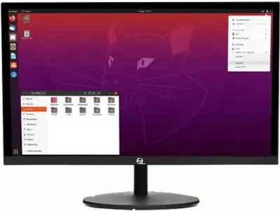 Монитор RDW Computers 23.8" RDW2401K/HDMI черный IPS 5ms 16:9 HDMI M/M матовая 1000:1 300cd 178гр/178гр 1920x1080 75Hz VGA DP (RUS)