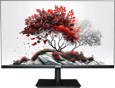 Монитор RDW Computers 27" RDW2701K черный IPS 5ms 16:9 HDMI M/M матовая 1000:1 250cd 178гр/178гр 1920x1080 75Hz VGA DP FHD (RUS)