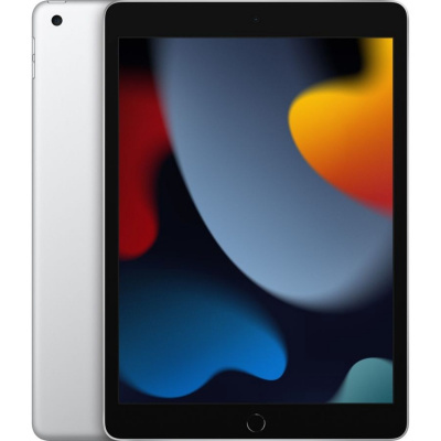 Apple iPad 10.2-inch Wi-Fi 256GB - Silver [MK2P3RU/A] (2021)