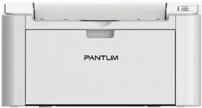 Принтер лазерный Pantum P2200 A4 серый
