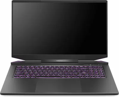 Ноутбук Maibenben X757 Ryzen 7 5800H 16Gb SSD1Tb NVIDIA GeForce RTX 3070 8Gb 17.3" IPS QHD (2560x1440) Linux black WiFi BT Cam 4100mAh (X757QSGELBRE0)